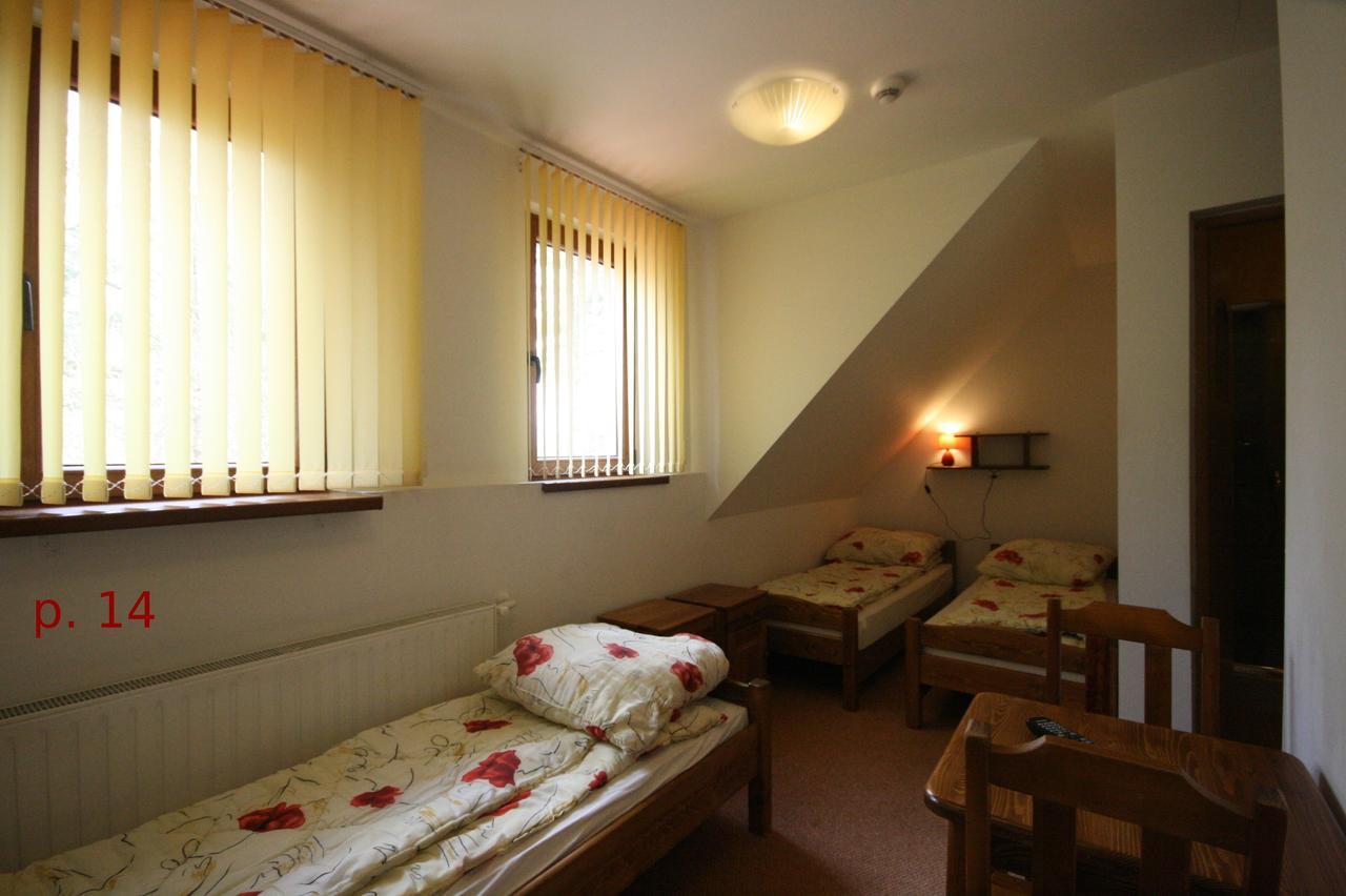 Osrodek Wczasowy Kasztel Hotel เนียจิดซา ซาแมก ภายนอก รูปภาพ